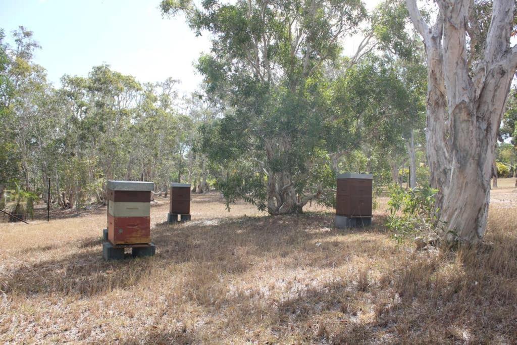 La Case, Un Espace Qui Invite A L'Essentiel ! Bouloupari Εξωτερικό φωτογραφία